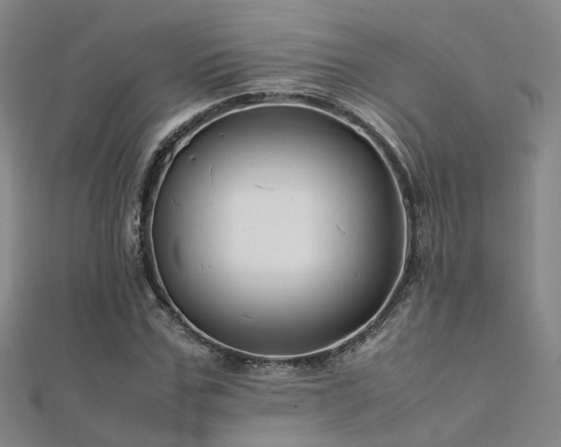 X0000112370971200908131514