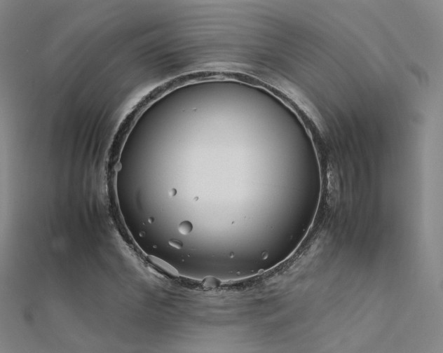 X0000112370972200908131514
