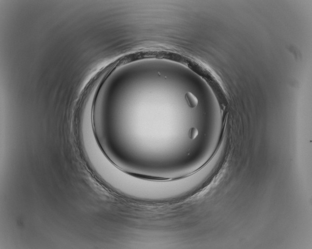 X0000112370973200908131514