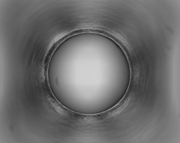 X0000112370974200908131514