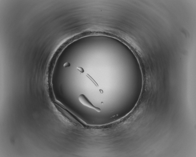 X0000112370976200908131514