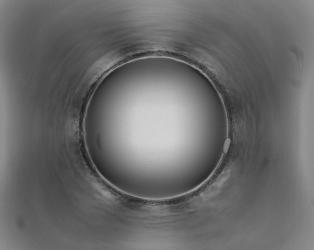 X0000112370977200908131514