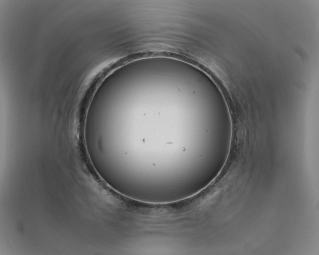 X0000112370979200908131514