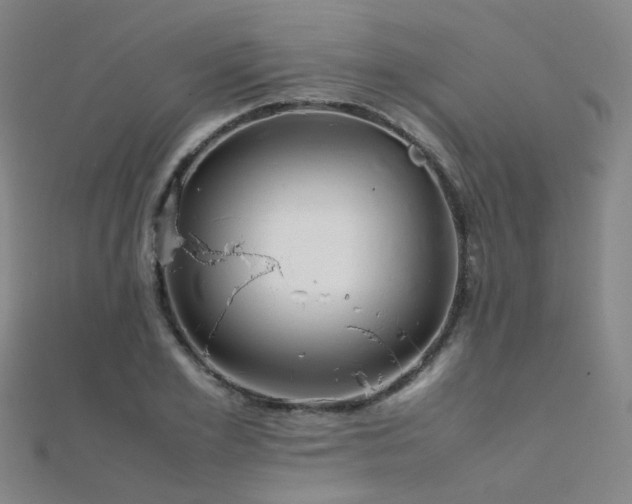 X0000112370981200908131514