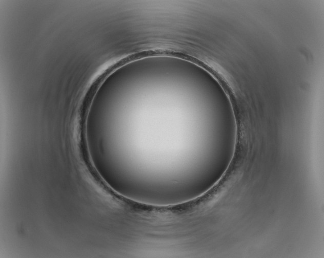 X0000112370983200908131514
