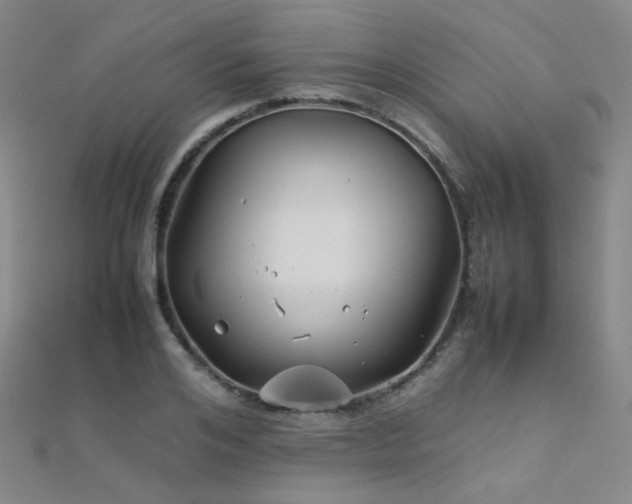 X0000112370984200908131514