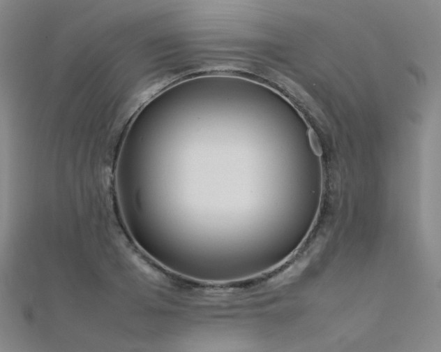 X0000112370985200908131514