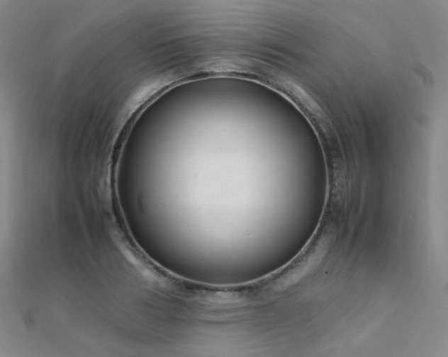 X0000112370986200908131514