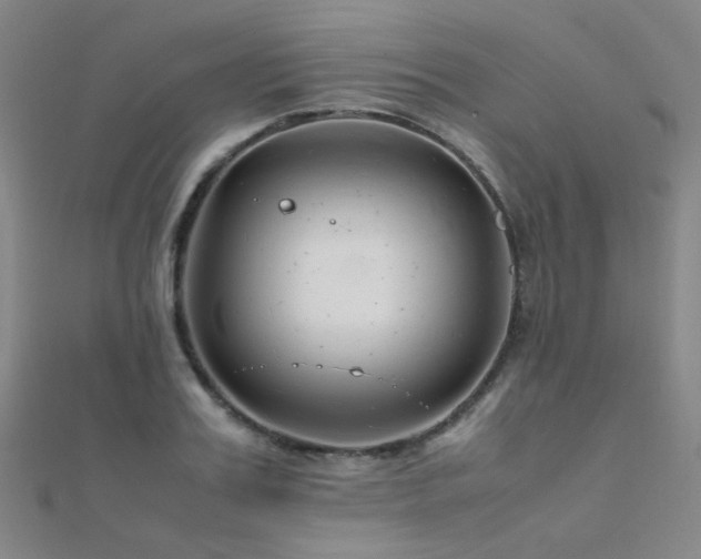 X0000112370987200908131514
