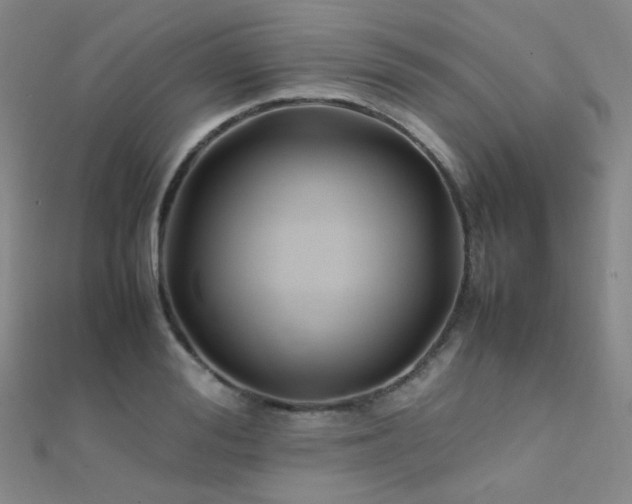 X0000112370988200908131514