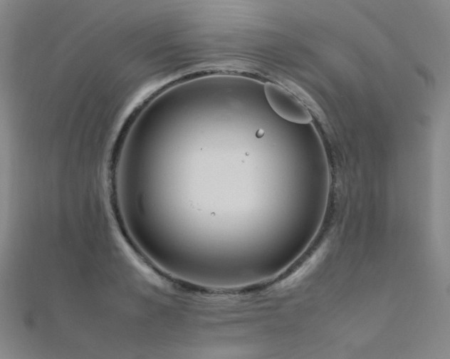 X0000112370989200908131514