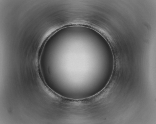 X0000112370990200908131514