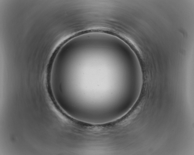 X0000112370991200908131514
