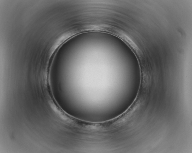 X0000112370994200908131514