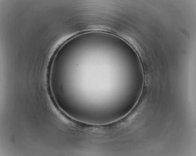 X0000112370995200908131514
