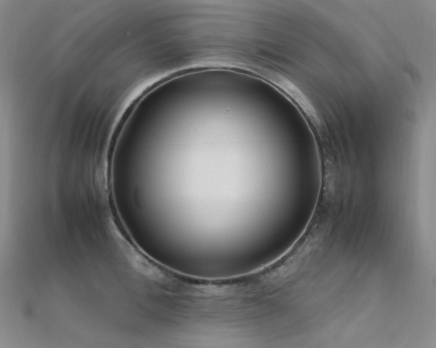 X0000112370996200908131513