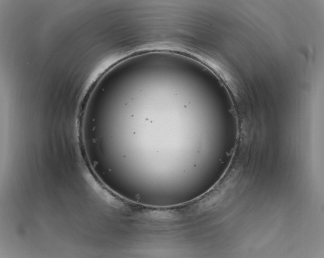 X0000112370998200908131513