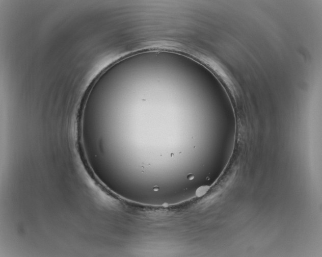 X0000112370999200908131513