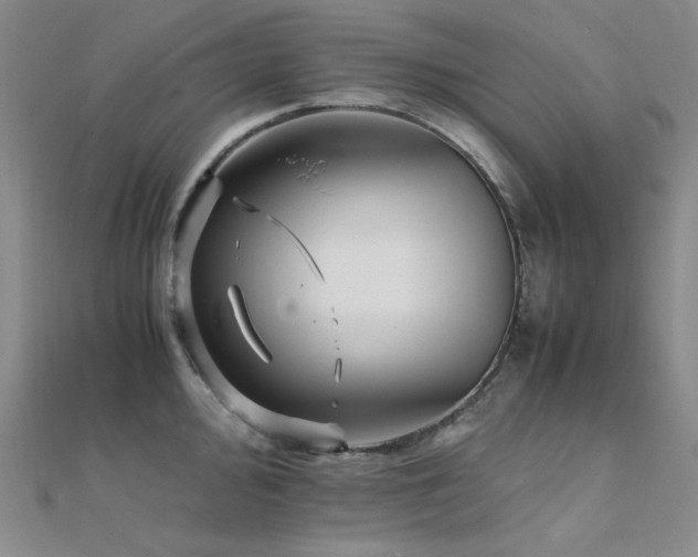 X0000112371000200908131513