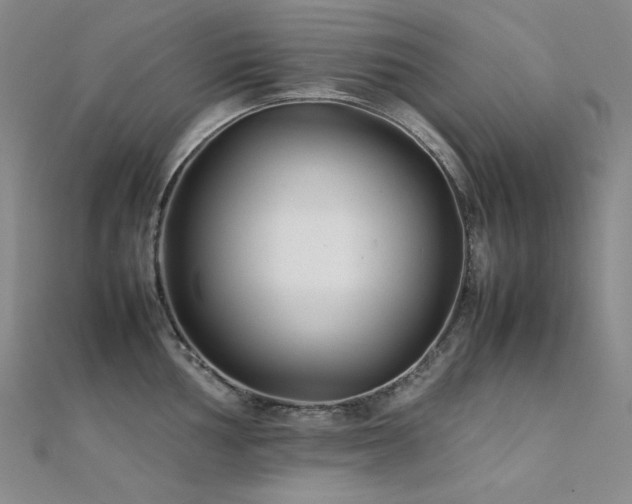 X0000112371002200908131513