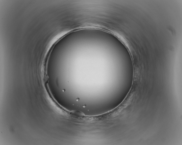 X0000112371003200908131513