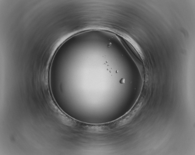 X0000112371004200908131513