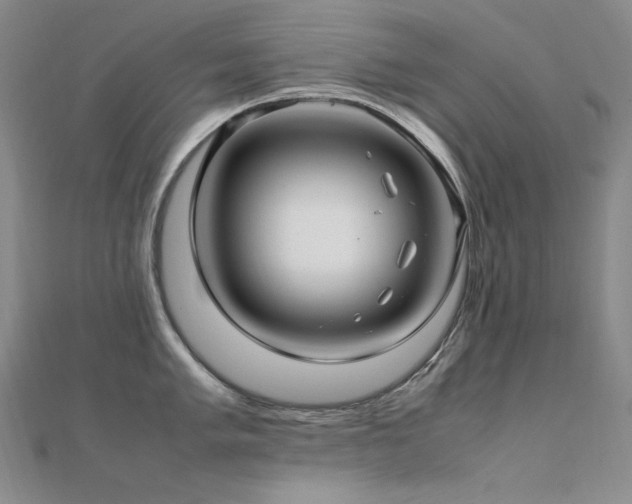 X0000112371005200908131513