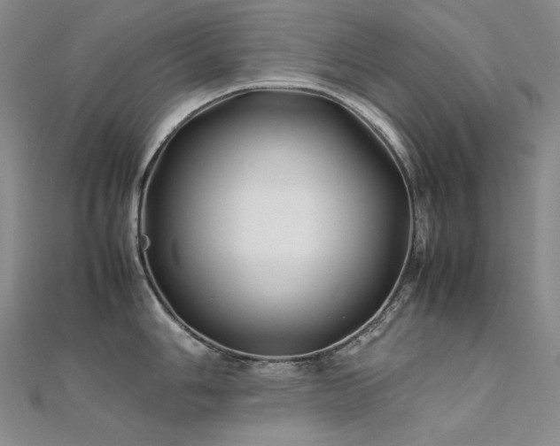 X0000112371006200908131513