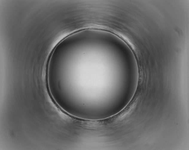 X0000112371007200908131513