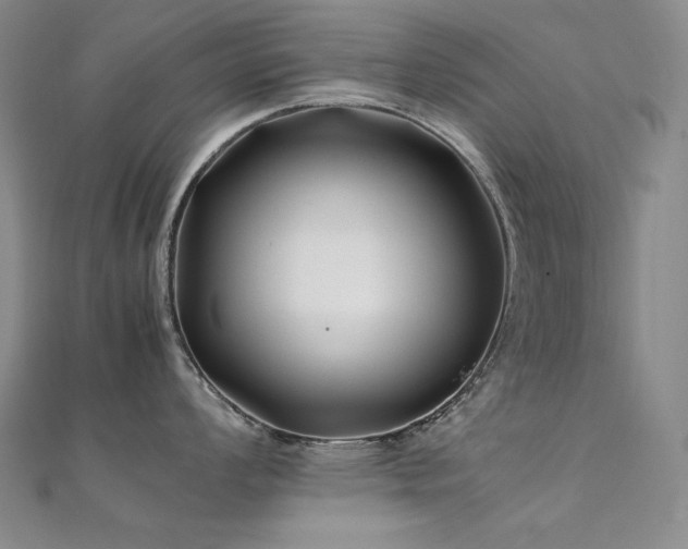 X0000112371008200908131513