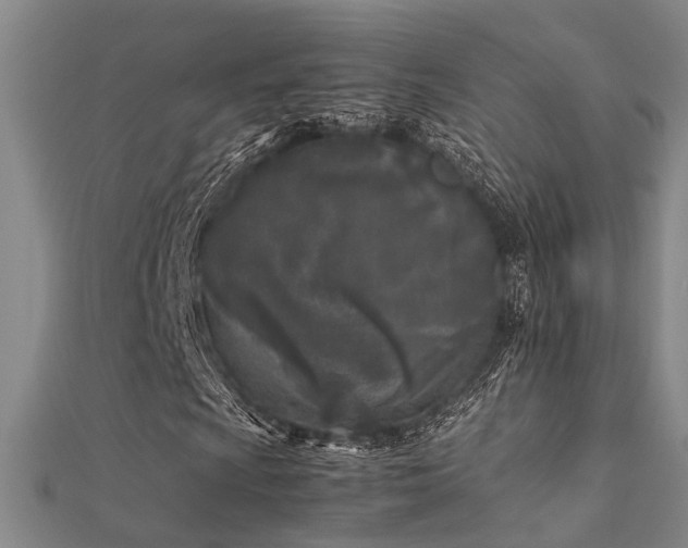 X0000112371009200908131513