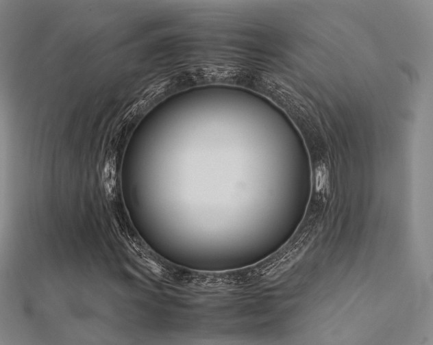 X0000112371011200908131513
