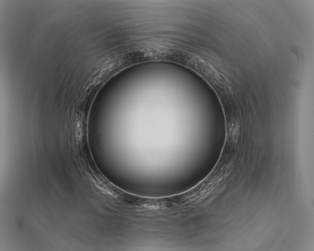 X0000112371012200908131513