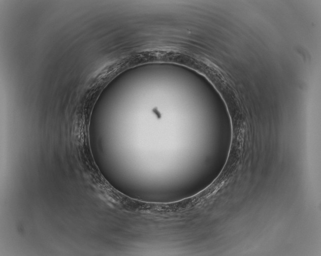 X0000112371014200908131513