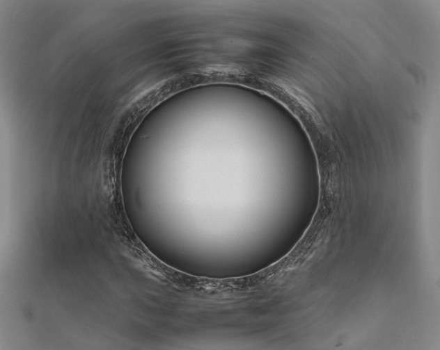 X0000112371015200908131513