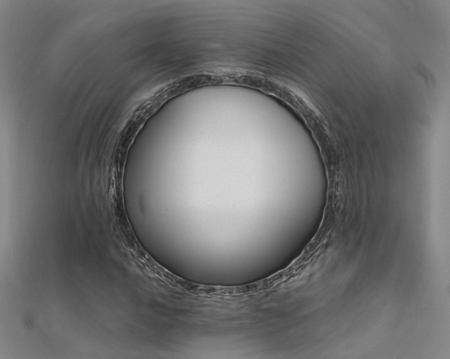 X0000112371016200908131513