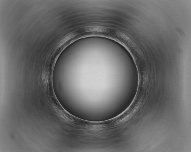 X0000112371017200908131513