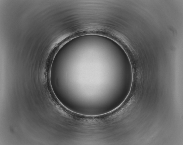 X0000112371018200908131513