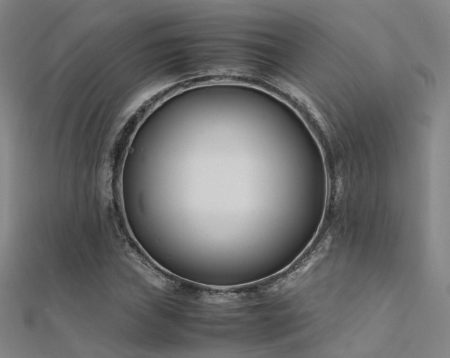 X0000112371019200908131513