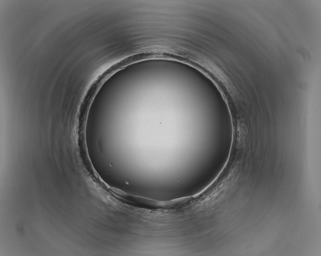 X0000112371020200908131513