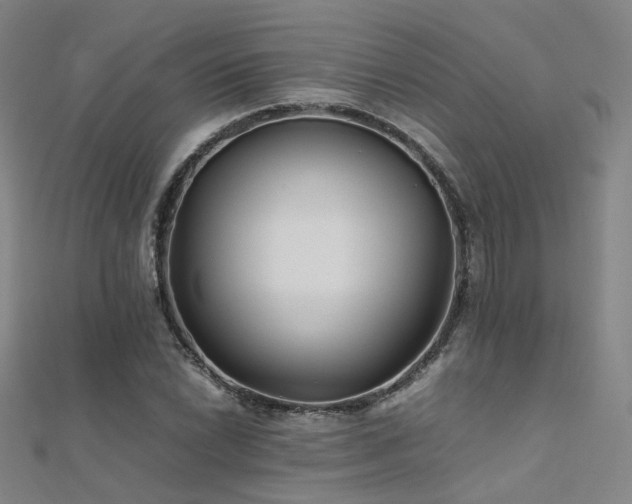 X0000112371022200908131513