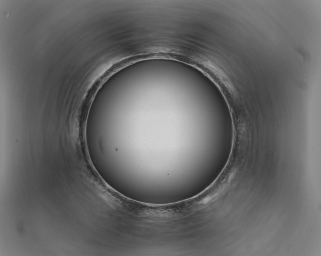 X0000112371023200908131513