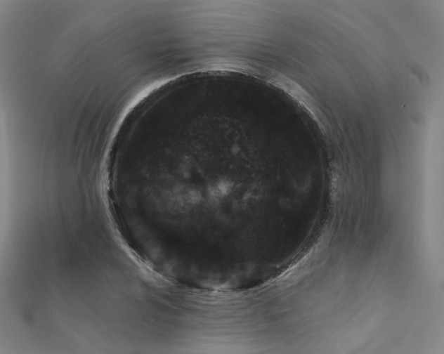 X0000112371024200908131513