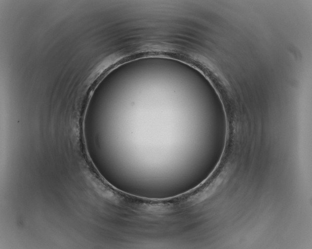 X0000112371025200908131513