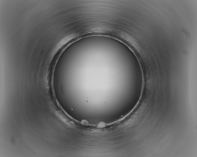 X0000112371026200908131513