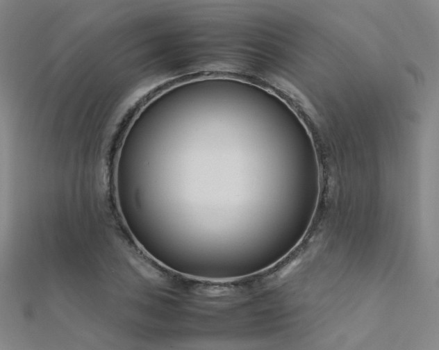 X0000112371027200908131513