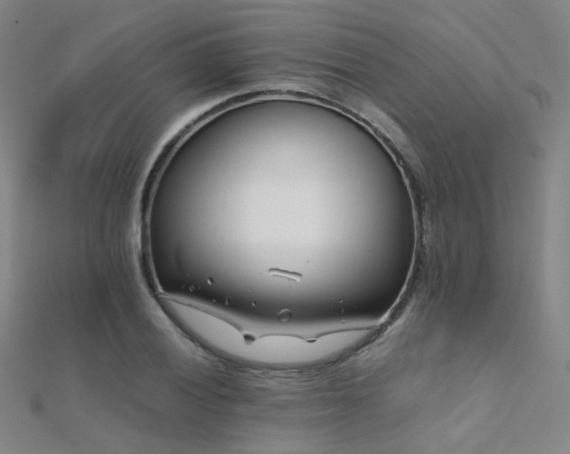 X0000112371028200908131513
