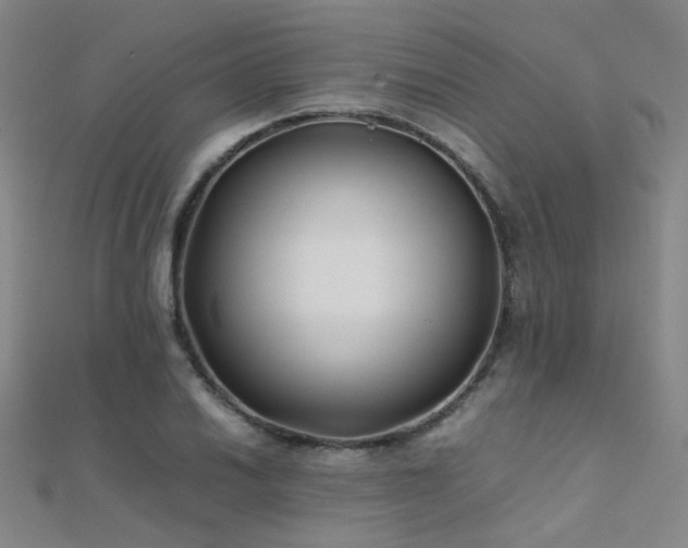 X0000112371030200908131513