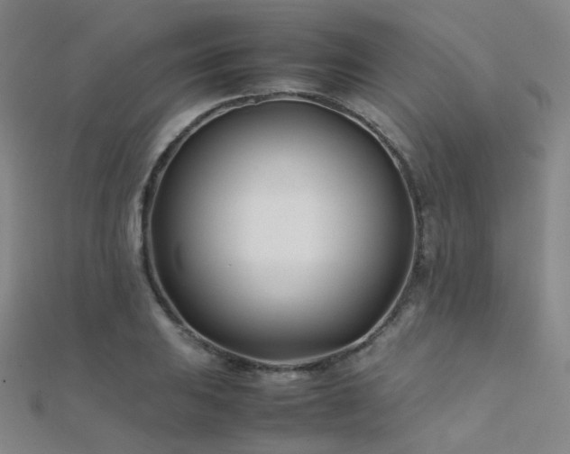 X0000112371031200908131513