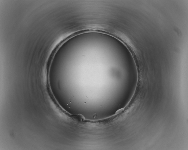 X0000112371032200908131513